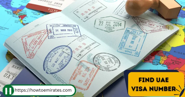 3 Easy Ways to Find UAE Visa Number Online